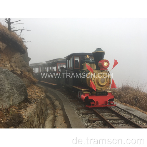 Diesel Sightseeing-Züge mit zwei Wagen